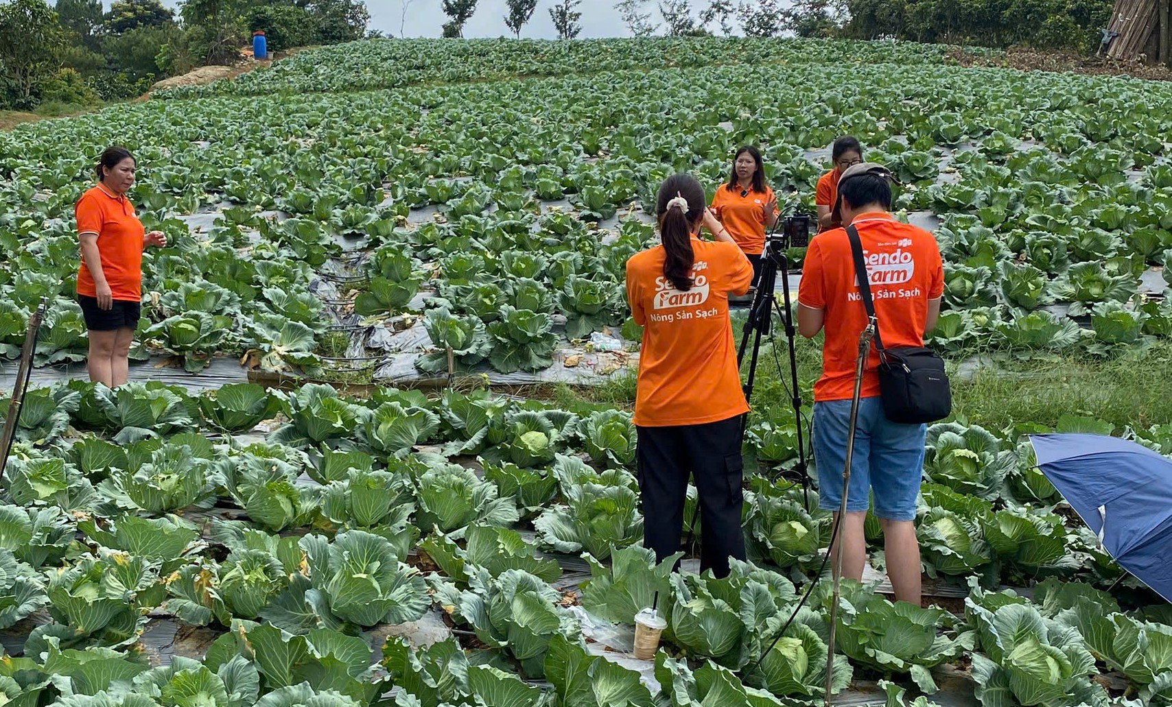 Sendo Farm – Hành trình kết nối nông sản Việt, lan tỏa từ miền xuôi đến miền ngược