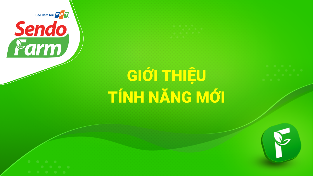 Bức tốc bán hàng cùng tính năng "Sáng tạo & Chia sẻ danh mục sản phẩm"