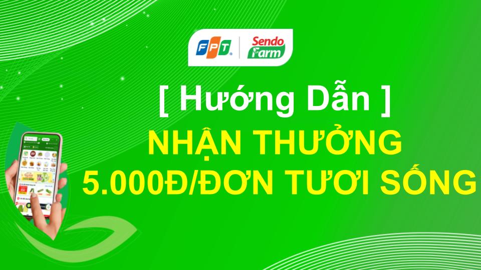 [HƯỚNG DẪN] NHẬN THƯỞNG 5.000Đ/ĐƠN TƯƠI SỐNG 